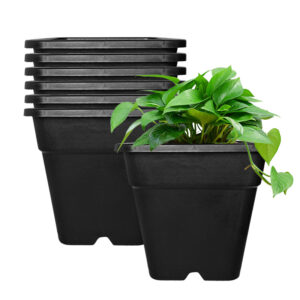2 Gallon Blueberry Pots — изображение 2