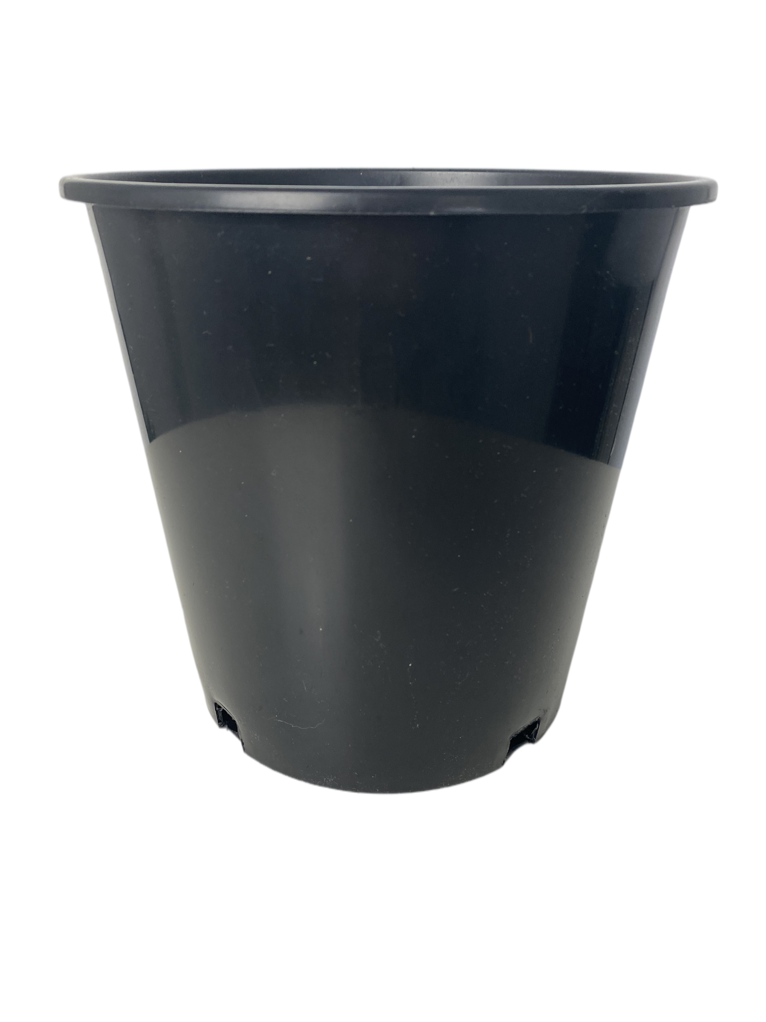 Ronbo Sunrise 2 gallon pots
