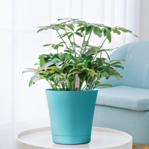 blue flower pots