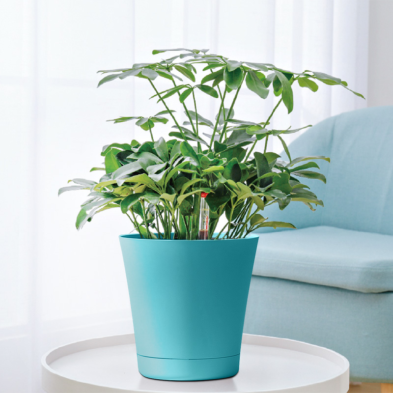 blue flower pots