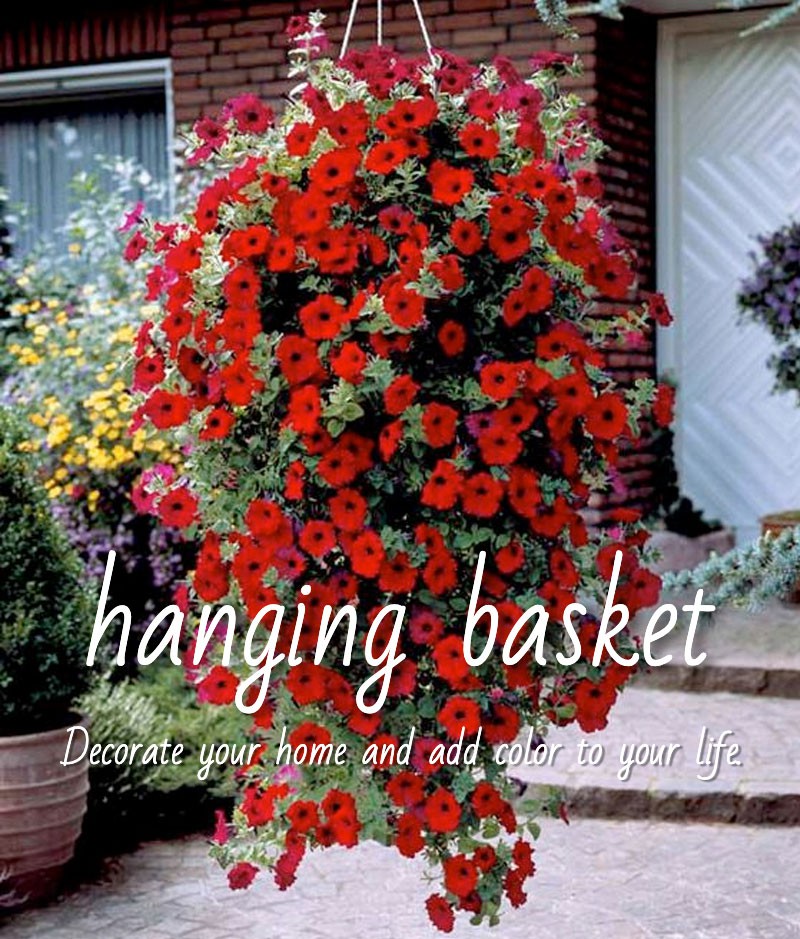 Geometric Hanging Planter
