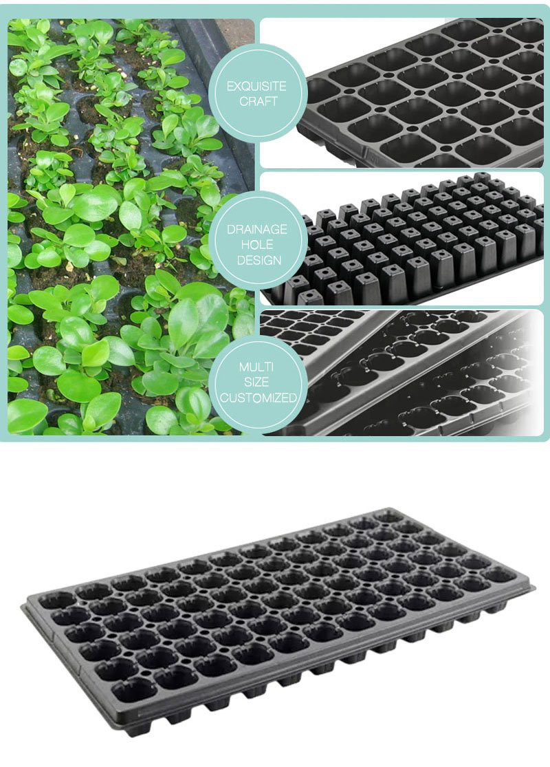 Plastic Plug Farmer Nursery Trays