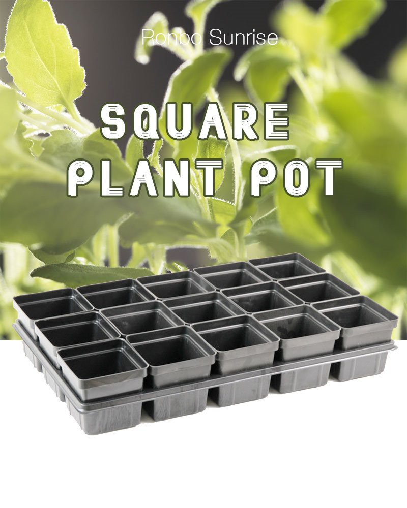 Square Plant Pot With Tray