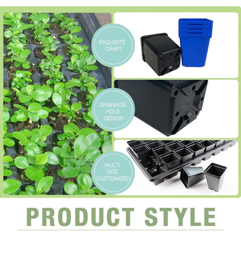 Square Plant Pot With Tray