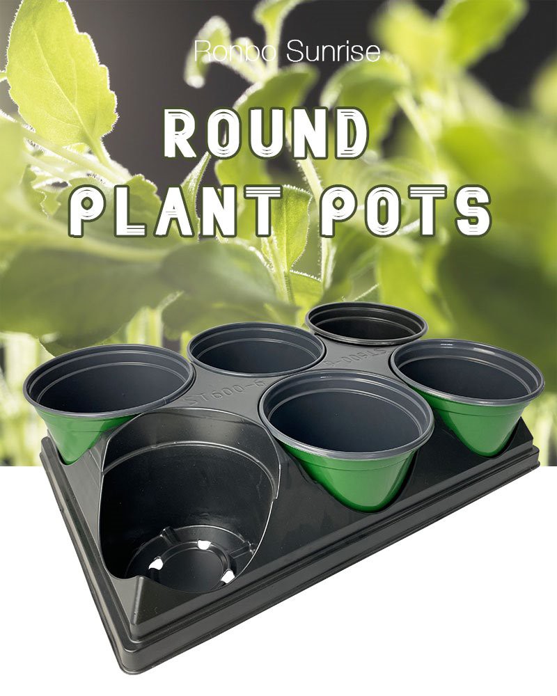 Round Plant Pot With Tray