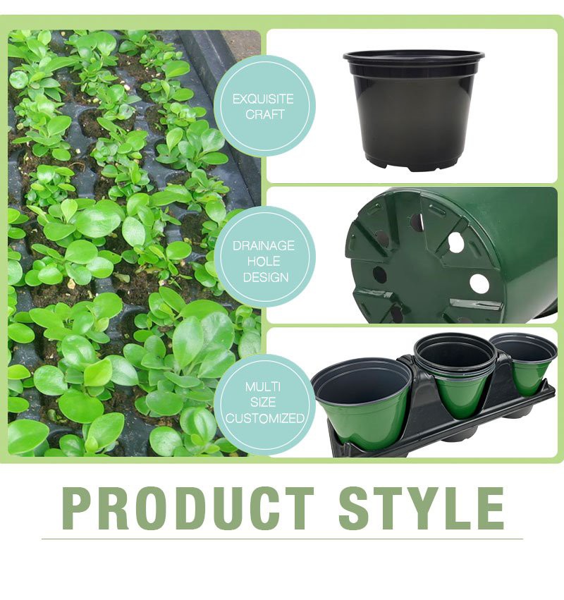 Round Plant Pot With Tray