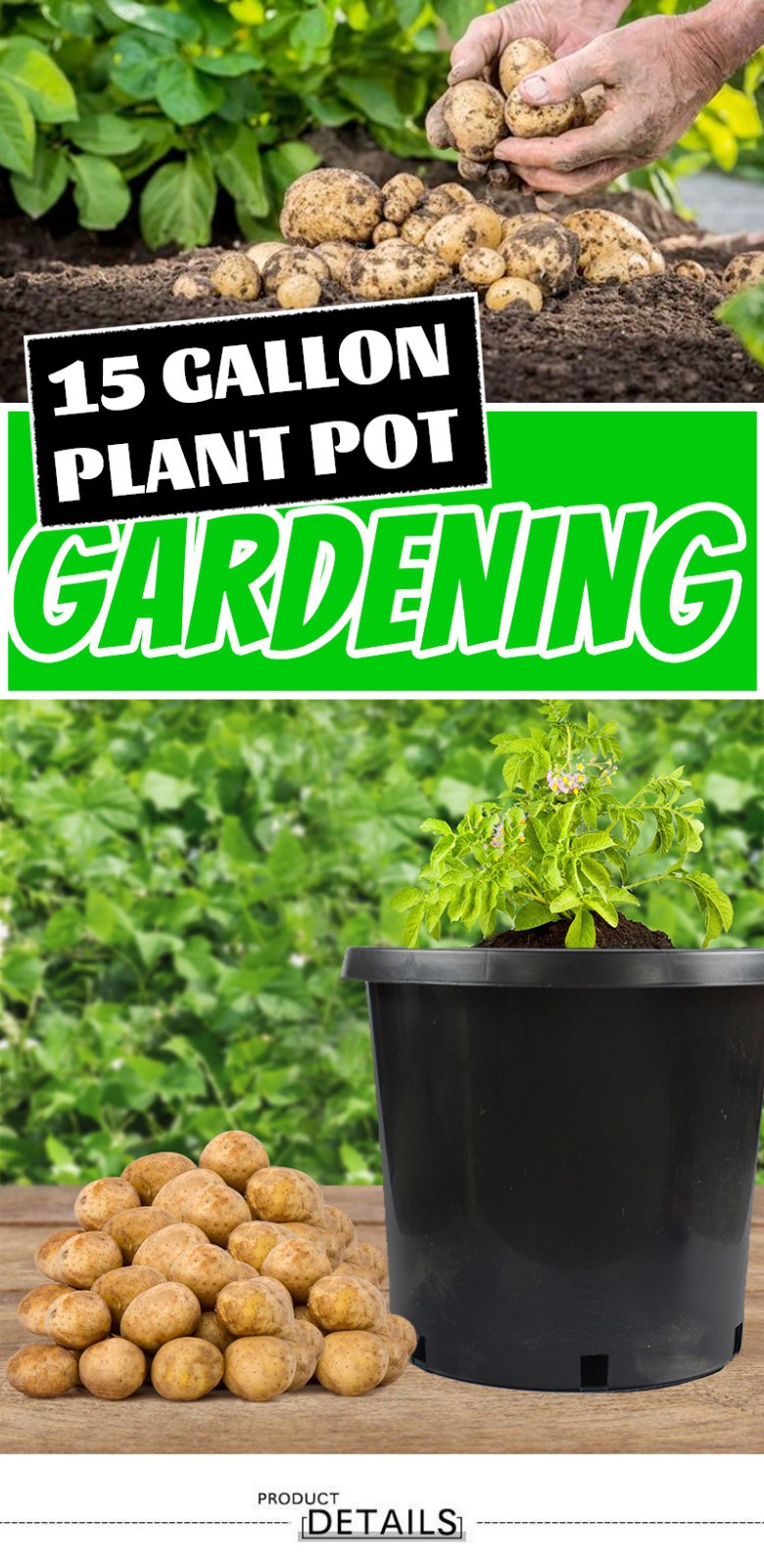 15 Gallon Pot