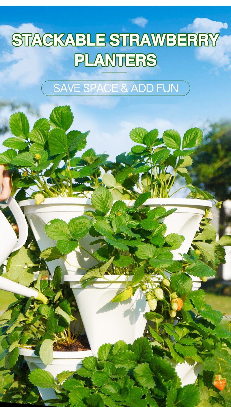 Stackable Four-Petal Flower Pot