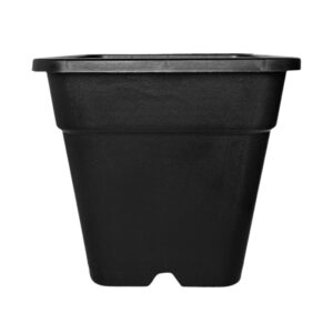 2 Gallon Blueberry Pots — изображение 4