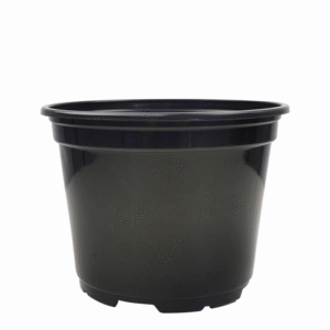 Round Plant Pot With Tray