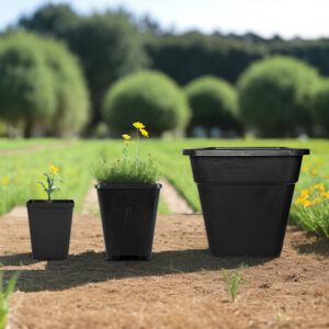 2 Gallon Blueberry Pots — изображение 3
