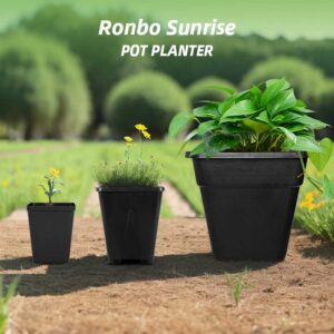 2 Gallon Blueberry Pots — изображение 5