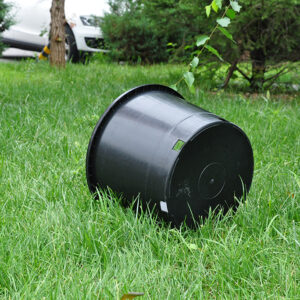 10 Gallon Plant Pot — изображение 4