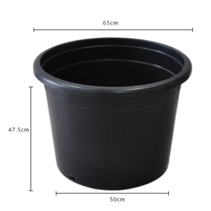 25 Gallon Pot - Image 2