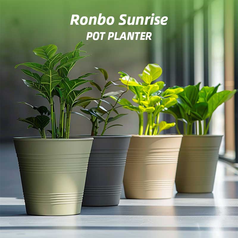 ronbo sunrise planters