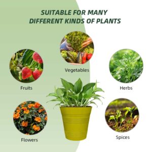 ronbo sunrise planters