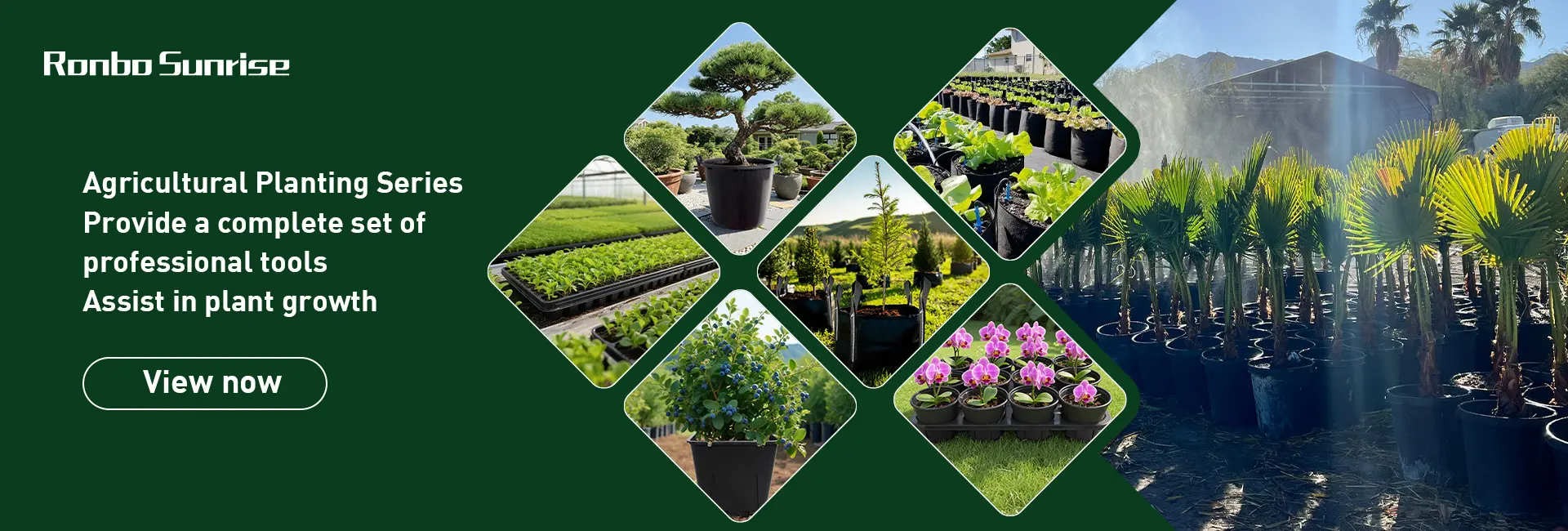 onbo Sunrise 20 years expertise in high-quality plastic flower pot manufacturing for nurseries and garden centers.