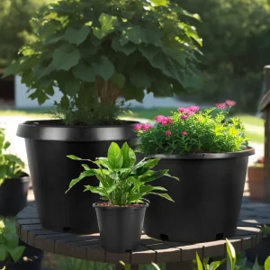 Gallon Pots 1-25 gallon