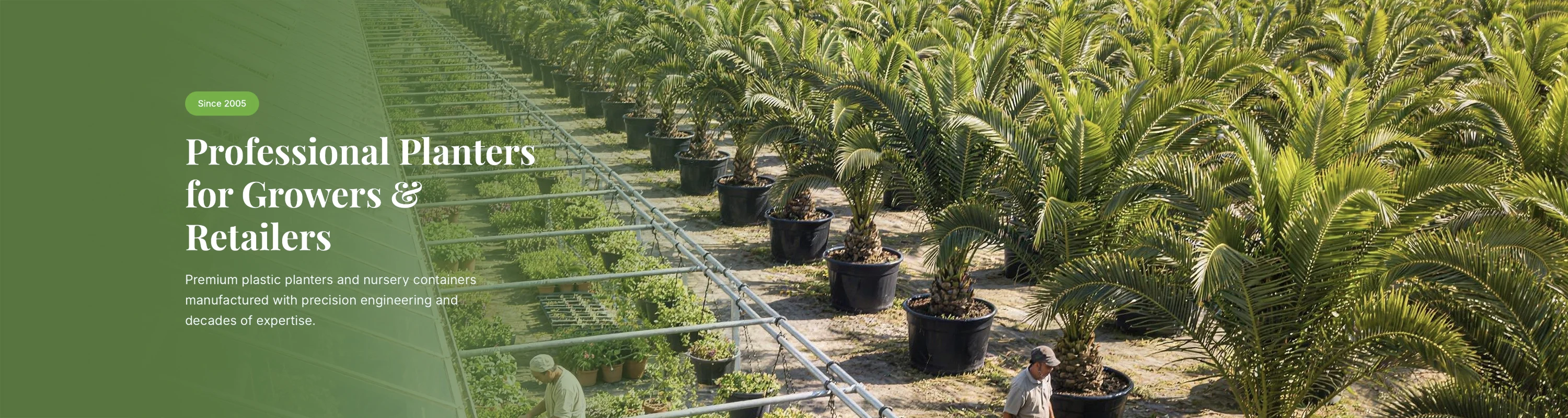 Ronbo Sunrise - Wholesale plastic planters and garden containers