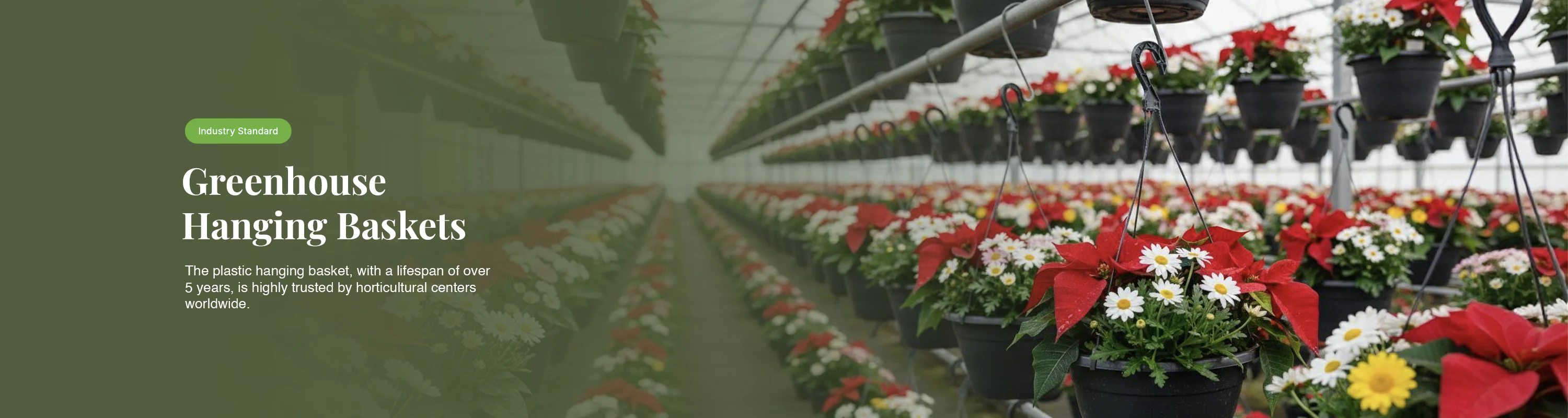Professional planters for commercial growers and retailers - Ronbo Sunrise