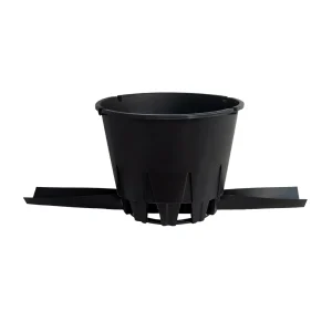 Elevated 25L round blueberry pot positioned over a drainage gutter channel between high-density rows, collecting runoff underneath the open legs