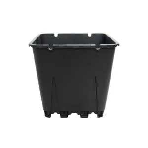25 liter square blueberry pot with irrigation tube slots on the rim, shown on white background
