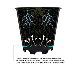 Cross-section diagram showing how the pyramid base guides drainage and improves root health