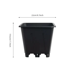 5L Square Blueberry Pot – Nursery Pot for Young Plants - Image 2