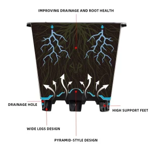 Diagram showing how 5L square pot improves drainage and root health for young blueberry plants
