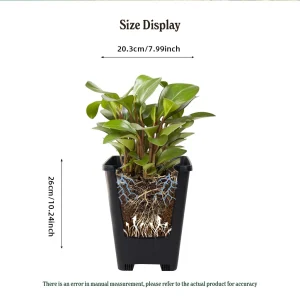 Size display and root system cross section of 7 liter square nursery pot for seedlings