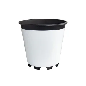 White 25L round blueberry pot on pure white background, reflective body for hot climates